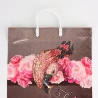 Пакет "Розовый фламинго, полиэтиленовый, пластиковая ручка 37х35 см 90 мкм 1095891 Пакет "Розовый фламинго, полиэтиленовый, пластиковая ручка 37х35 см 90 мкм 1095891