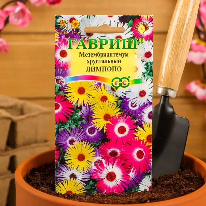 Семена цветов Мезембриантемум хрустальный  Семена цветов Мезембриантемум хрустальный "Лимпопо", ц/п,  О., 0,05 г
