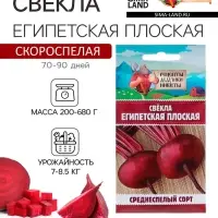 Семена Свекла «Египетская плоская», 2 г