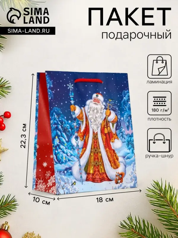 Пакет подарочный новогодний ламинированный, &laquo;Новогодний набор &raquo;, 18&times;10&times;22.3 см