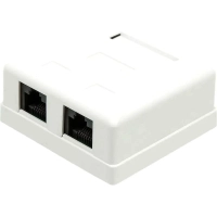 Розетка настенная TWT TWT-SM2-4545-WH 2 порта RJ-45 кат. 5е, UTP, белая