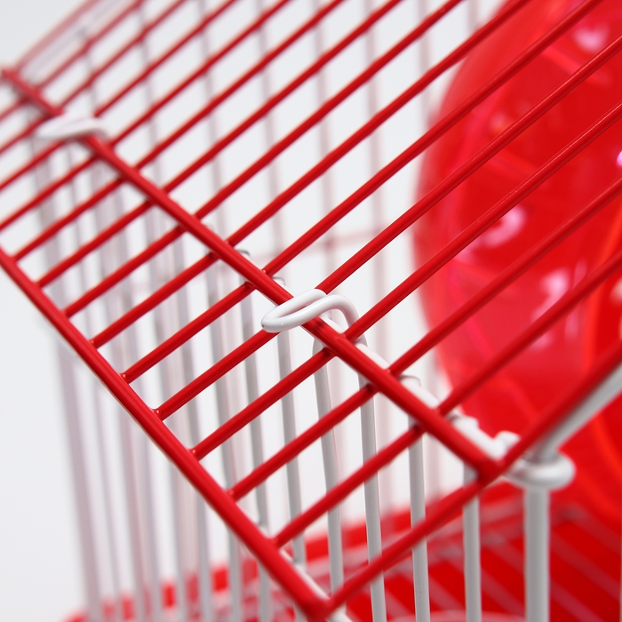 Клетка для грызунов укомплектованная RT-2t, 22 х 16 х 20 см, красная (фасовка 30 шт) Клетка для грызунов укомплектованная RT-2t, 22 х 16 х 20 см, красная (фасовка 30 шт)