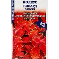 Семена Ком: Колеус Визард Сансет /Сотка/ 10шт/ h-35cм PanAm/*500 Семена Ком: Колеус Визард Сансет /Сотка/ 10шт/ h-35cм PanAm/*500