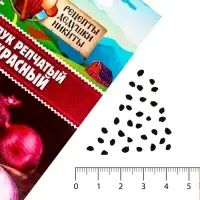 Семена Лук репчатый «Красный», 0.3 г