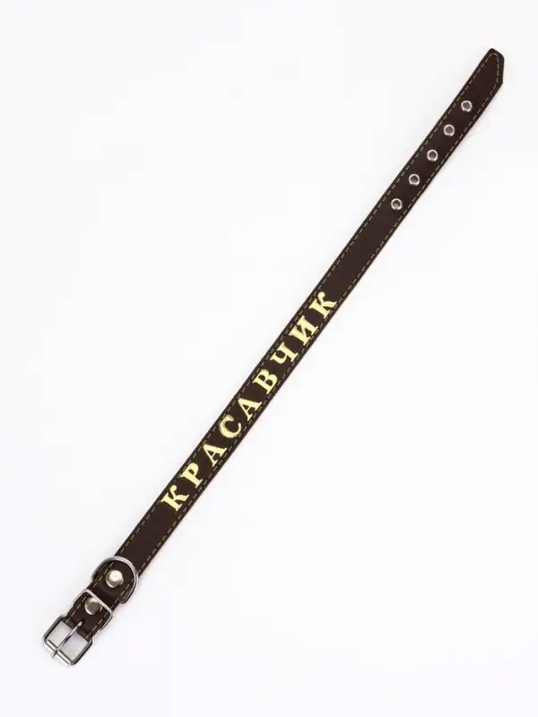 Ошейник &laquo;Красавчик&raquo;, 60&times;2.5 см, однослойный, тиснение фольгой, кожа, цвет МИКС