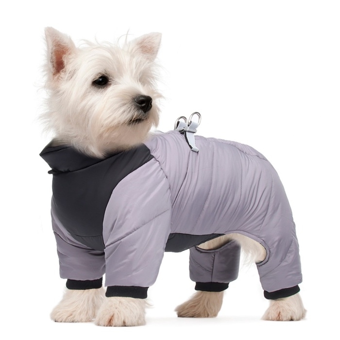 Комбинезон  Комбинезон "Тренд", оксфорд, 2XL (ДС 43, ОШ 41, ОГ 53 см, вес 16-20 кг), серый