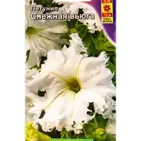 Семена цветов Петуния Снежная вьюга крупноцветковая бахромчатая (драже в пробирке), Ц/П,7 шт. 10945 Семена цветов Петуния Снежная вьюга крупноцветковая бахромчатая (драже в пробирке), Ц/П,7 шт. 10945