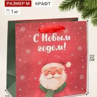 Пакет подарочный &laquo;С Новым годом&raquo;, Дед Мороз, 22&times;22&times;11 см