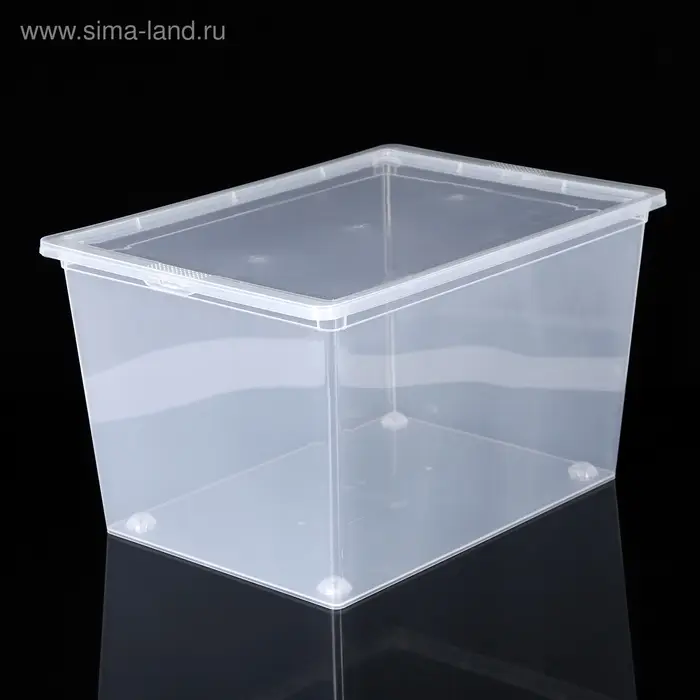 Ящик для хранения, 50 л, 53&times;38&times;30 см, с крышкой, прозрачный