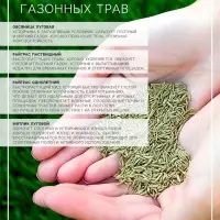 Семена газонной травы Universell Gras, 1  кг
