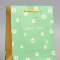 Пакет подарочный ламинированный &laquo;Ромашки - обнимашки&raquo;, 18&times;22.3&times;10 см