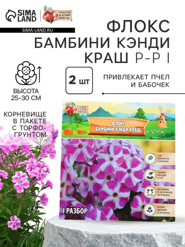Флокс «Бамбини Кэнди Краш» ркорневище в пакете с торфогрунтом, -р I, 2 шт.