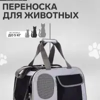 Сумка-переноска с органайзером и окном, 45&times;28&times;29 см, серо-чёрная