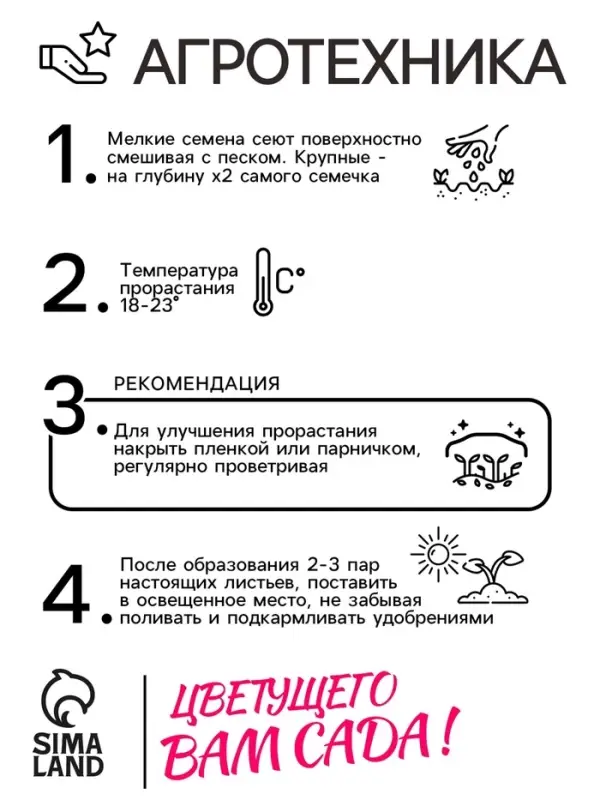 Семена Астра Ковёр Радуга 0.3г*