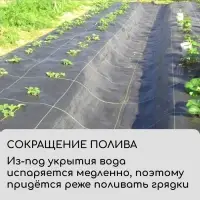 Агроткань застилочная, с разметкой, 5&times;1.6 м, плотность 100 г/м&sup2;, полипропилен, Greengo, Эконом 50%