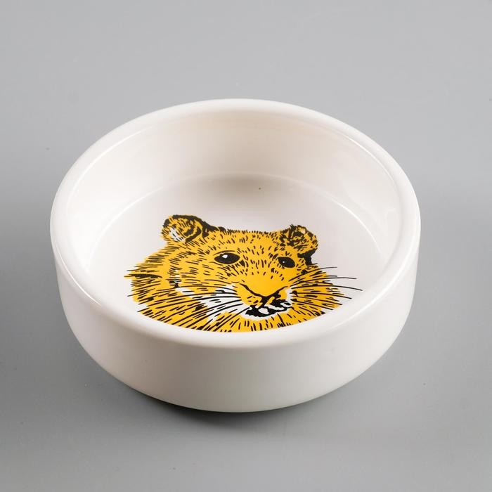 Миска керамическая для грызунов Миска керамическая для грызунов "Сытая мордочка" 80 мл 8,5 х 3 см