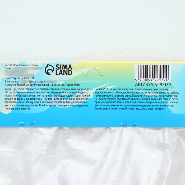 Лилия Азиатская Кашпо Лилия Азиатская Кашпо "Trendy Las Palmas", р-р 12/14, 2 шт,