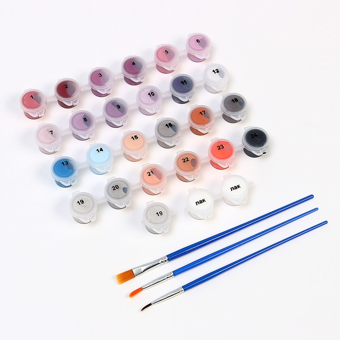 Картина по номерам на холсте с подрамником «Балет», 40 х 50 см