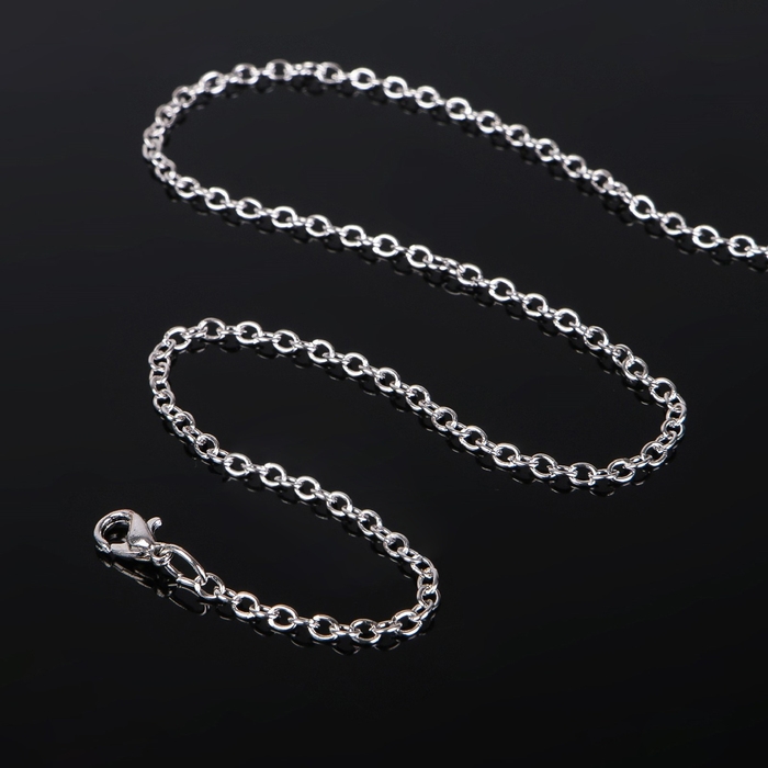 Цепочка с карабином L=50 см (набор 5 шт.) 7×5×1 мм, СМ-1935, цвет серебро Цепочка с карабином L=50 см (набор 5 шт.) 7×5×1 мм, СМ-1935, цвет серебро