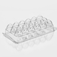 Контейнер для хранения яиц с крышкой RICCO, 18 ячеек, 32,5×16,5×7,5 см