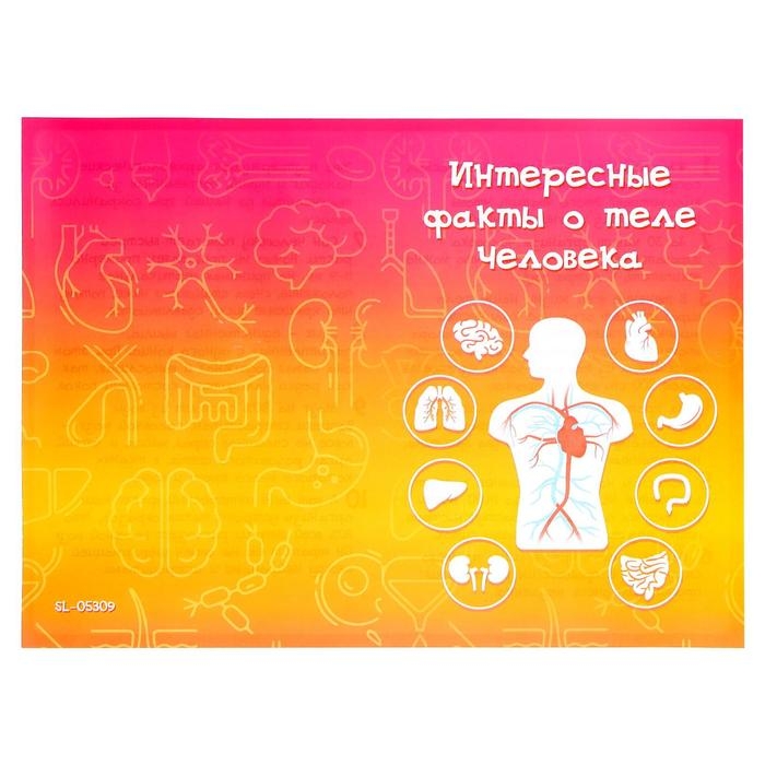 Набор для опытов «Моё удивительное тело», в пакете Набор для опытов «Моё удивительное тело», в пакете