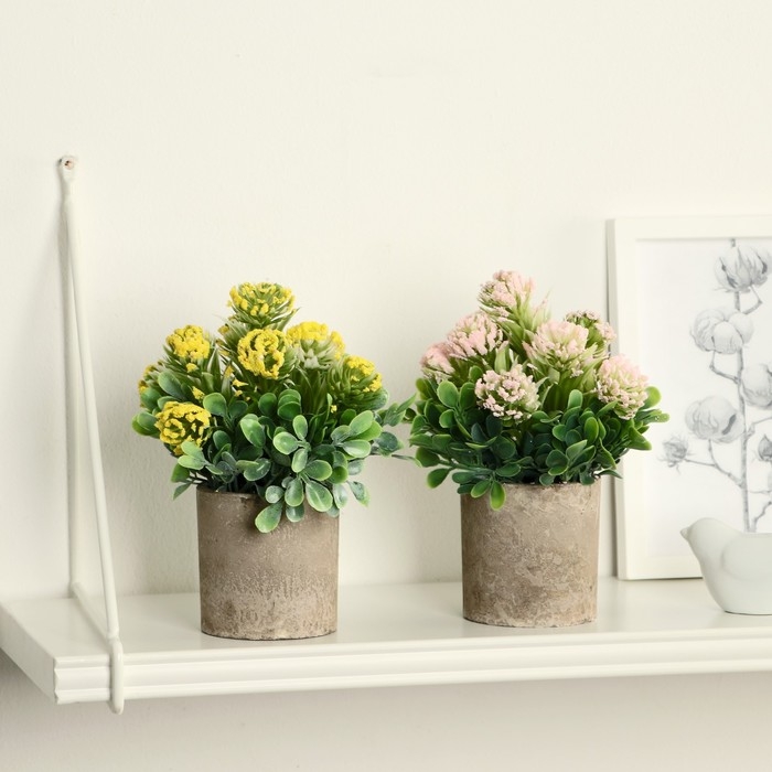 Бонсай в горшке Бонсай в горшке "Агапантус" 8х18 см, микс