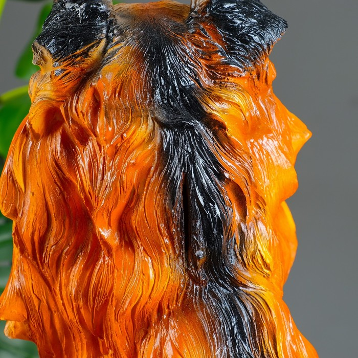 Копилка  Копилка "Колли" 38х28х20см