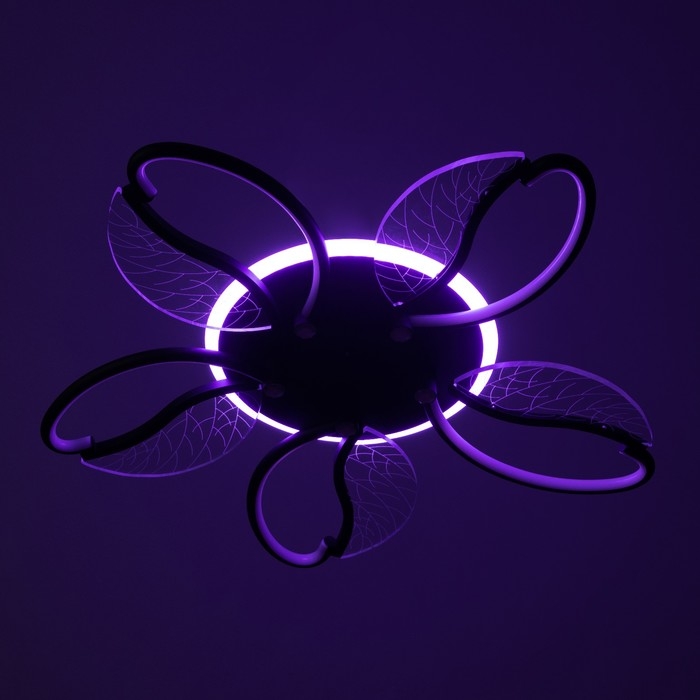 Люстра Люстра "Астрид" 5хLED 110Вт 3000-6000К RGB черный 65х65х8см