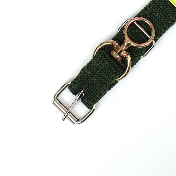 Ошейник двухслойный с вертлюгом, 3 см, зелёный Ошейник двухслойный с вертлюгом, 3 см, зелёный