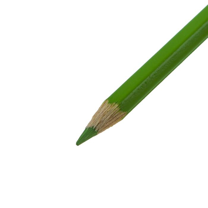 Карандаши Koh-I-Noor 3595 «Динозавр», 36 цветов, картонная упаковка Карандаши Koh-I-Noor 3595 «Динозавр», 36 цветов, картонная упаковка