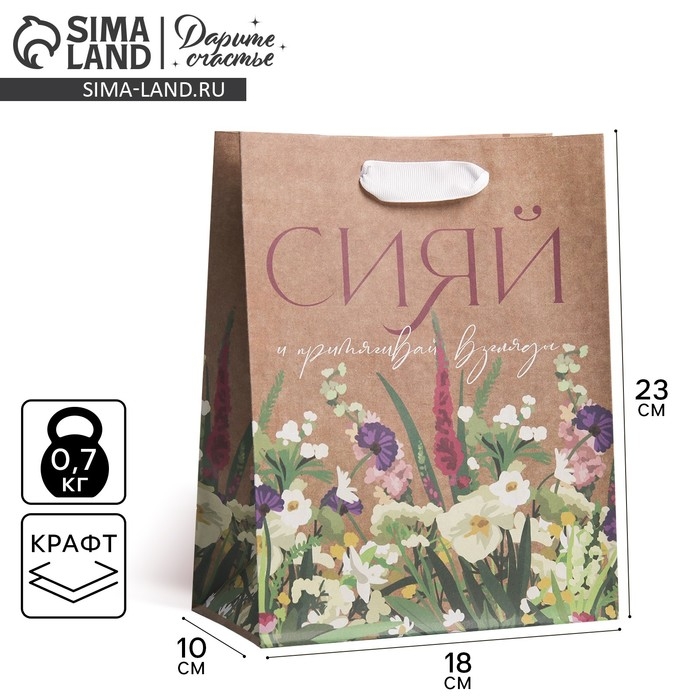 Пакет подарочный крафтовый вертикальный, упаковка, «Сияй», MS 18 х 23 х 8 см