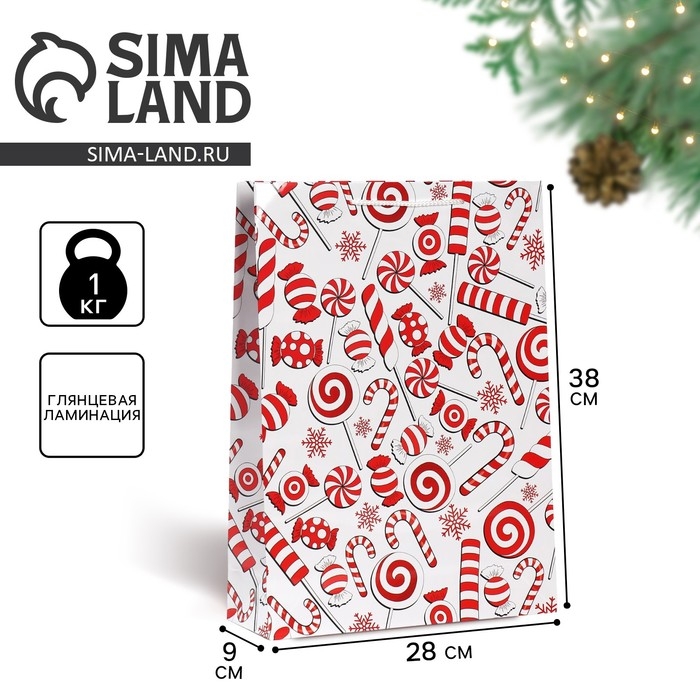 Пакет подарочный новогодний ламинированный «Сладости», L 28 х 38 х 9 см Пакет подарочный новогодний ламинированный «Сладости», L 28 х 38 х 9 см