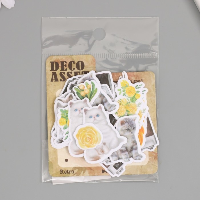 Наклейки для творчества Наклейки для творчества "Коты, жёлтые цветы и фото" 3,5х5 см набор 40 шт 9,4х8,4х0,5 см