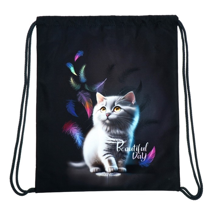 Мешок для обуви 435 х 360 мм, Stavia (плотность 600D с водоотталкивающей ПУ-пропиткой) "Кот и перья"