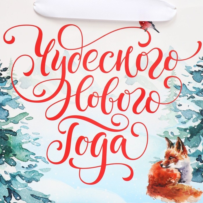 Пакет подарочный новогодний с широким дном «Новогодние чудеса», 25 х 19 х 18 см, Новый год Пакет подарочный новогодний с широким дном «Новогодние чудеса», 25 х 19 х 18 см, Новый год