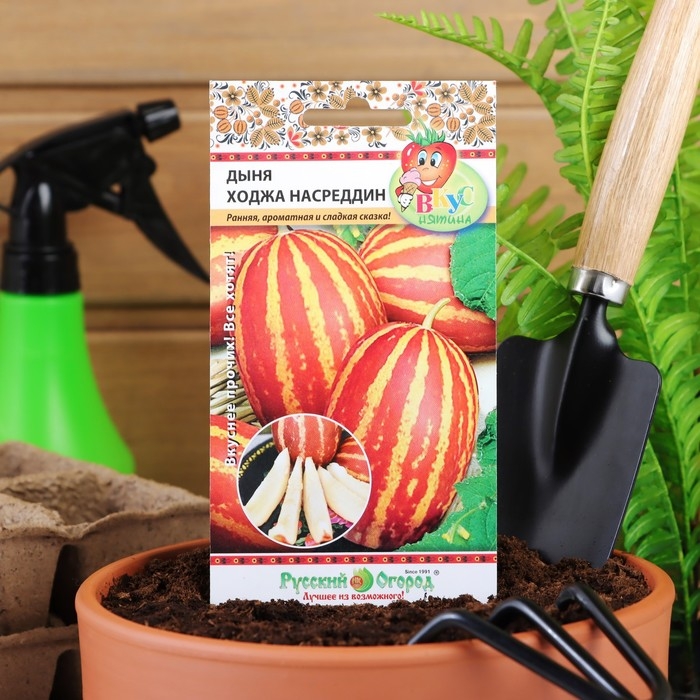 Семена Дыня  Семена Дыня "Ходжа Насреддин", 5 шт