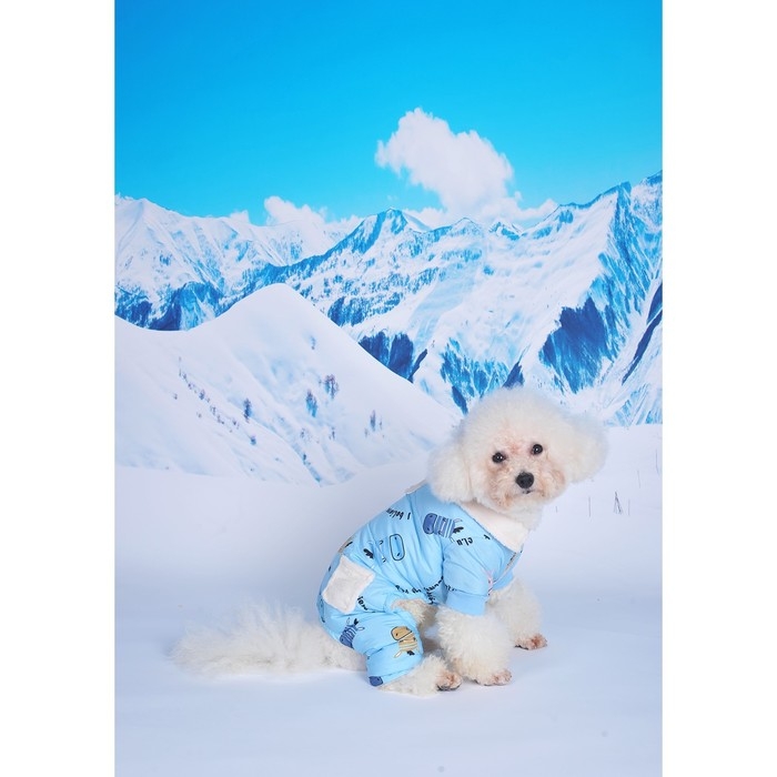 Комбинезон Комбинезон "Метель", размер M (ДС 30 см, ОГ 40, ОШ 27 см), голубой