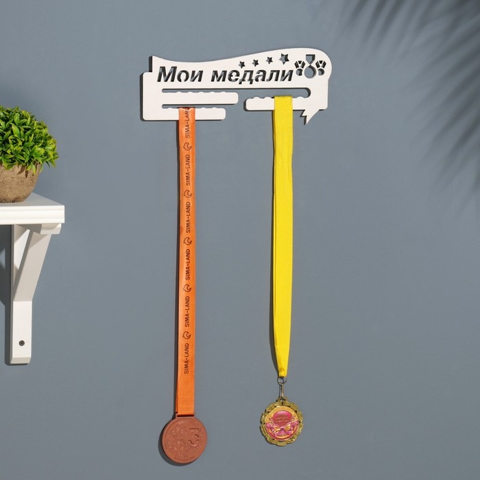 Медальница  Медальница "Мои медали" звёзды, 28х12 см