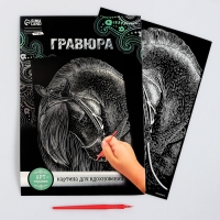 Гравюра «Лошадь» с металлическим эффектом «серебро» А4 Гравюра «Лошадь» с металлическим эффектом «серебро» А4