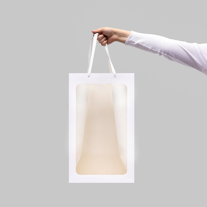 Пакет подарочный с окном, белый, 50 х 30 х 25 см Пакет подарочный с окном, белый, 50 х 30 х 25 см