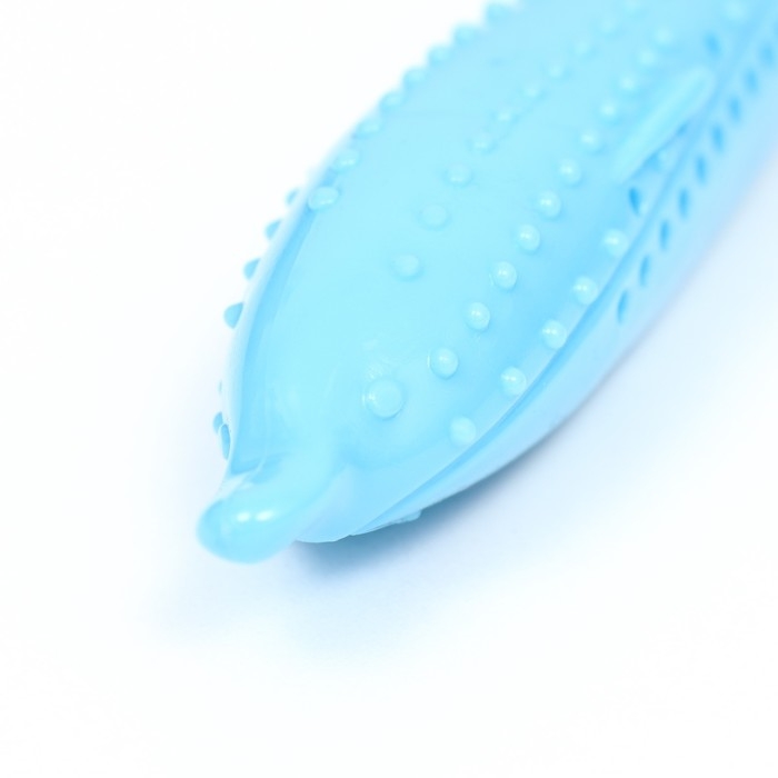 Игрушка для кошек с кошачьей мятой  Игрушка для кошек с кошачьей мятой "Дельфин", 17 см, синяя