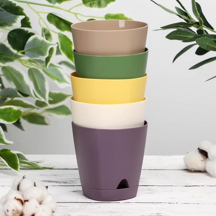 Набор горшков для цветов с прикорневым поливом Amsterdam, 650 мл, 5 шт, цвет МИКС Набор горшков для цветов с прикорневым поливом Amsterdam, 650 мл, 5 шт, цвет МИКС