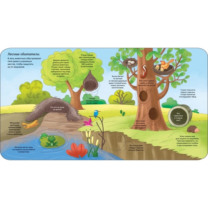 Энциклопедия с окошками «Животные» Энциклопедия с окошками «Животные»