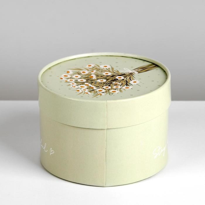 Коробка подарочная, упаковка, «Ромашки», 13 х 9 см Коробка подарочная, упаковка, «Ромашки», 13 х 9 см