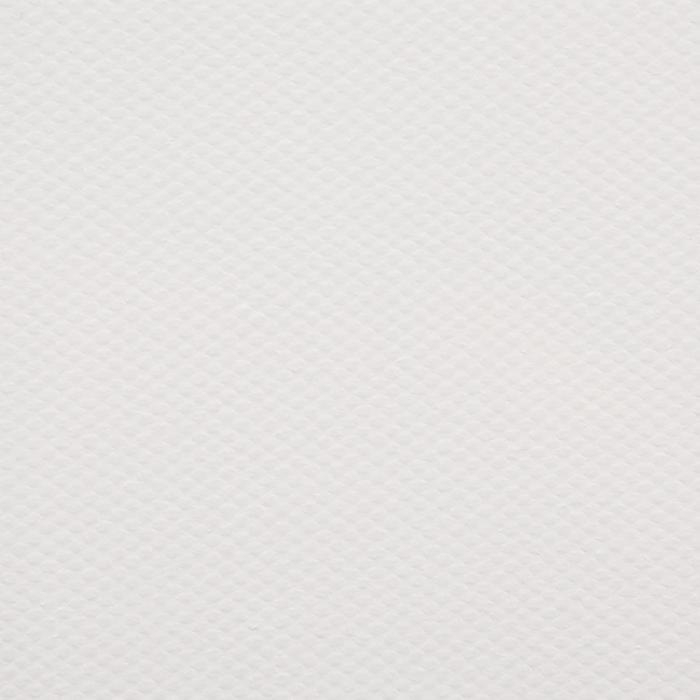 Холст на подрамнике, хлопок 100%, акриловый грунт, 2 х 80 х 100 см, 400 г/м2, , крупное зерно, Гамма Холст на подрамнике, хлопок 100%, акриловый грунт, 2 х 80 х 100 см, 400 г/м2, , крупное зерно, Гамма "Студия"