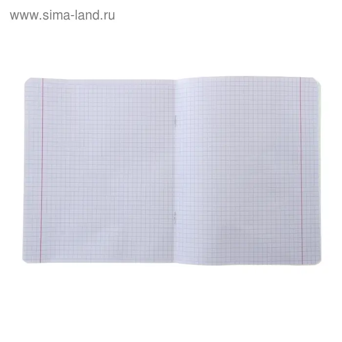 Тетрадь 12 листов клетка «Великолепная пятёрка», бумажная обложка, МИКС Тетрадь 12 листов клетка «Великолепная пятёрка», бумажная обложка, МИКС