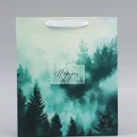 Пакет подарочный вертикальный &laquo;Подарок&raquo;, 26&times;32&times;12 см