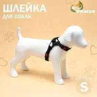 Шлейка К7, размер S, ОГ 44-55 см, вес 5-9 кг, мягкая, светоотражающая, хаки