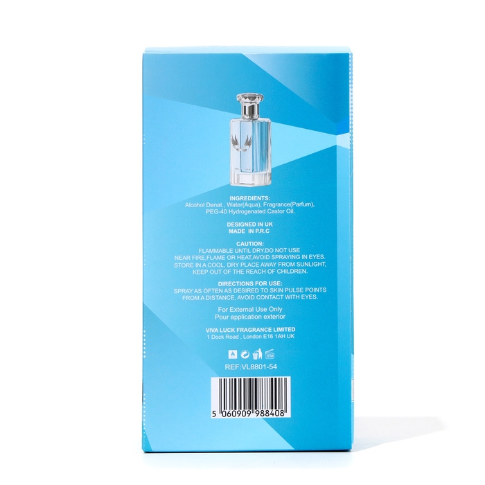 Туалетная вода мужская Courageous, 100 мл Туалетная вода мужская Courageous, 100 мл