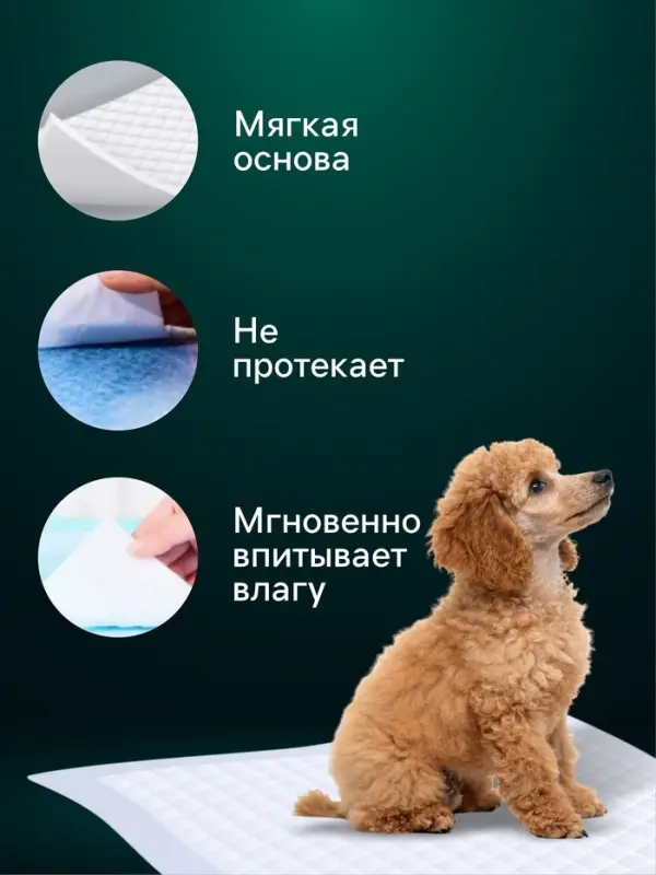 Пелёнки впитывающие &laquo;Мой выбор&raquo;, 60&times;40 см, набор 5 шт., целлюлоза